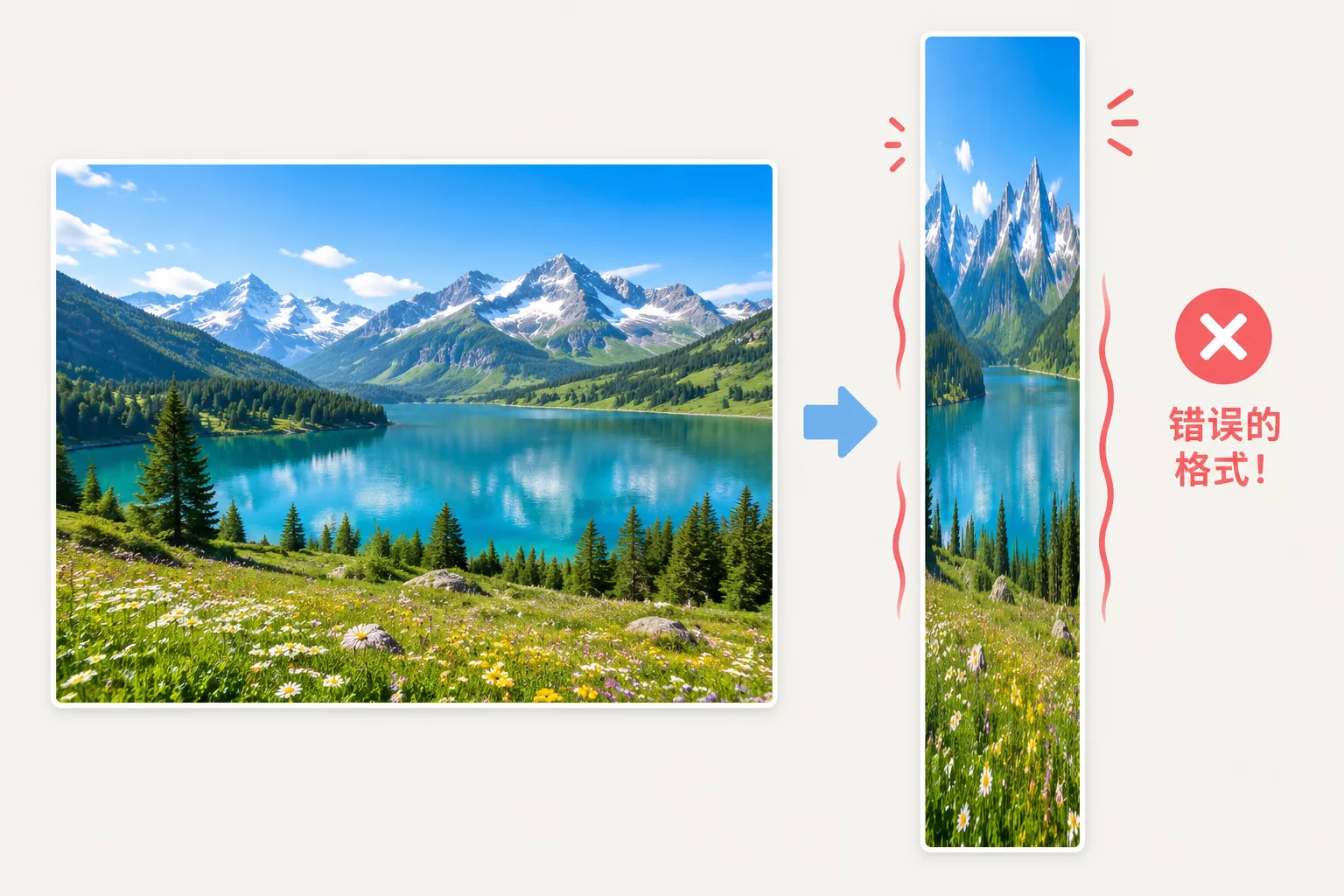 An image squeezed into an incorrect frame size.